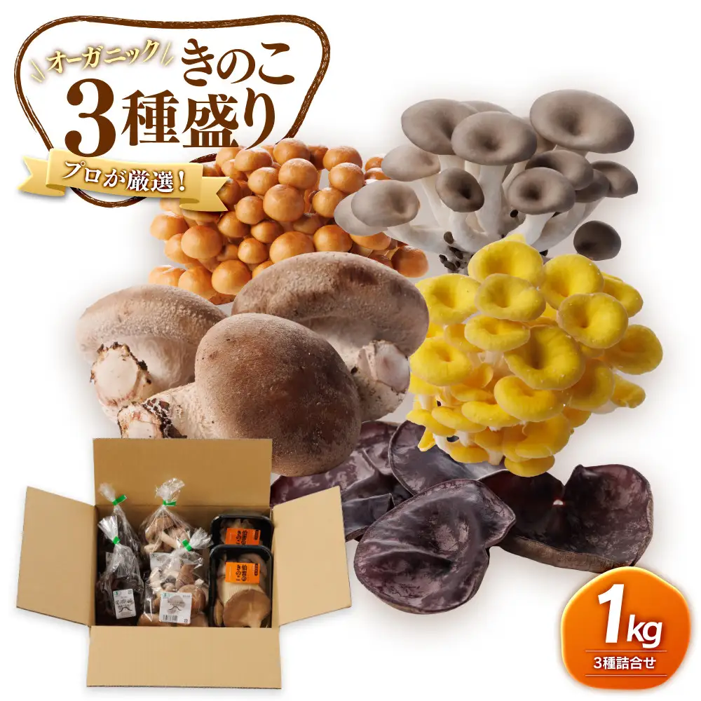 プロが厳選！オーガニックきのこ３種盛り（1ｋｇ） 【鳥取県 境港市】