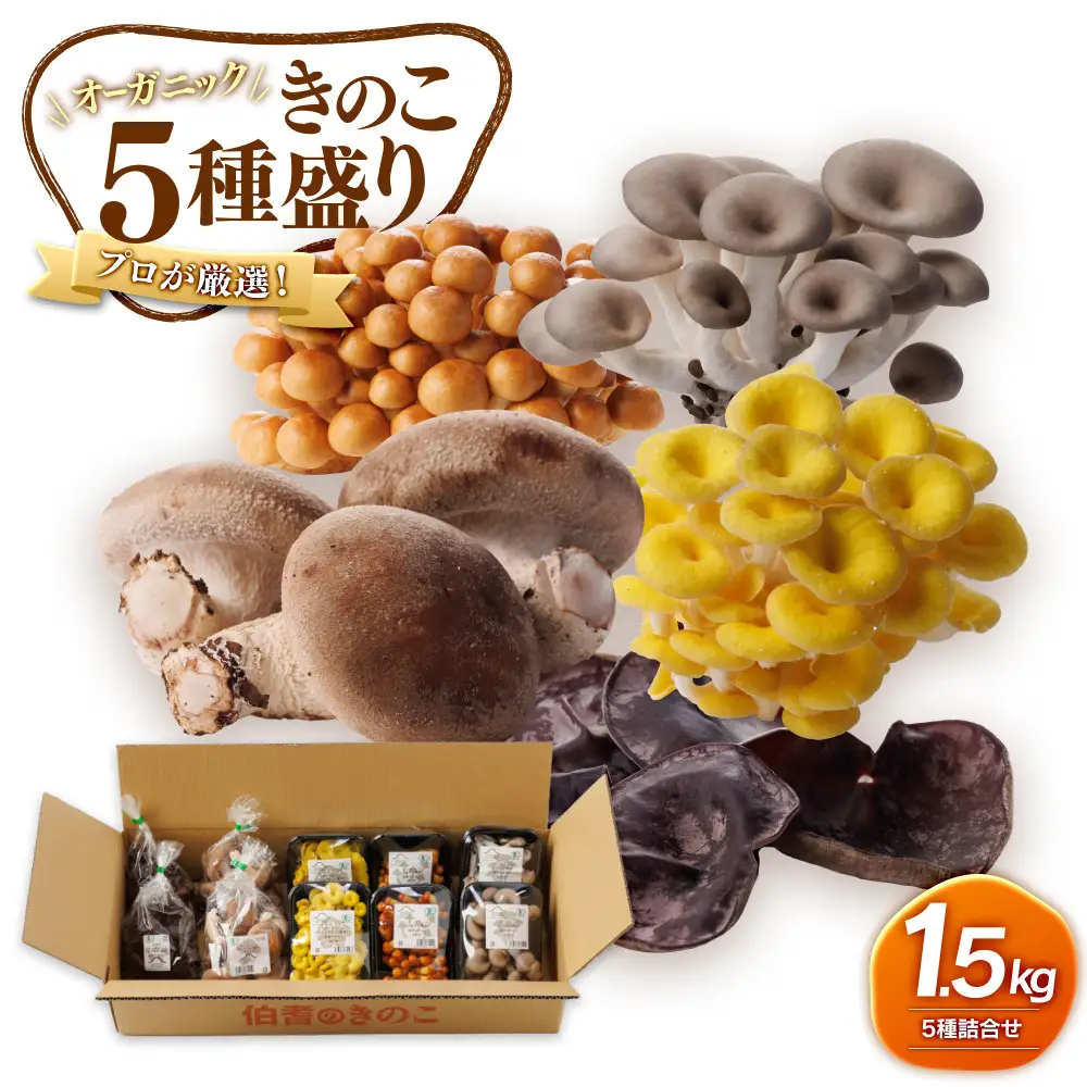 プロが厳選！オーガニックきのこ5種盛り（1.5ｋｇ） 【鳥取県 境港市】