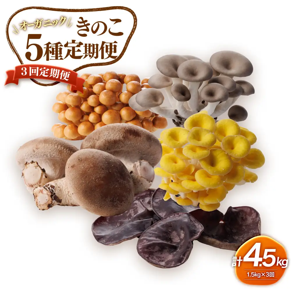 【3回定期便】オーガニックきのこ５種を３回に分けてお届け1.5kg×3　計4.5kg