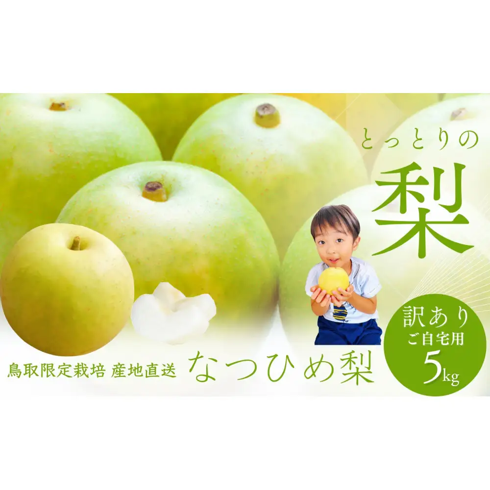 鳥取県産 梨 訳あり ご自宅用 なつひめ 5kg 【鳥取県 境港市】