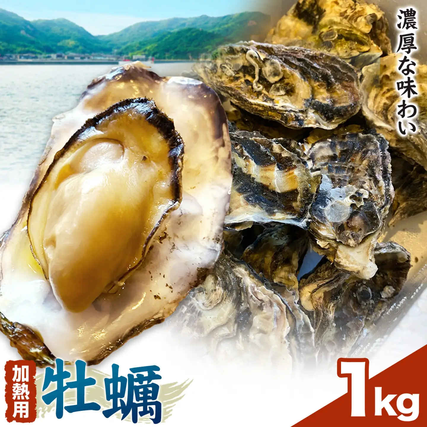 笠岡産 冷凍殻付き牡蠣 加熱用 1kg 15～20粒