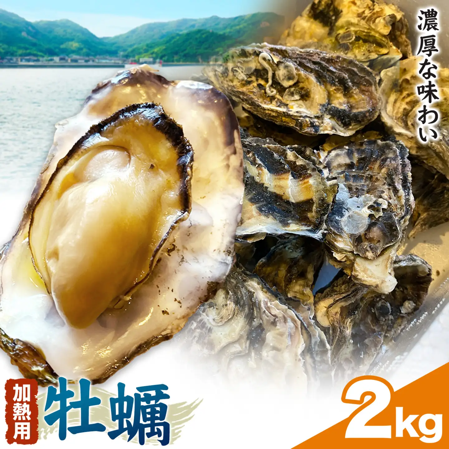 笠岡産 冷凍殻付き牡蠣 加熱用 2kg 30～40粒