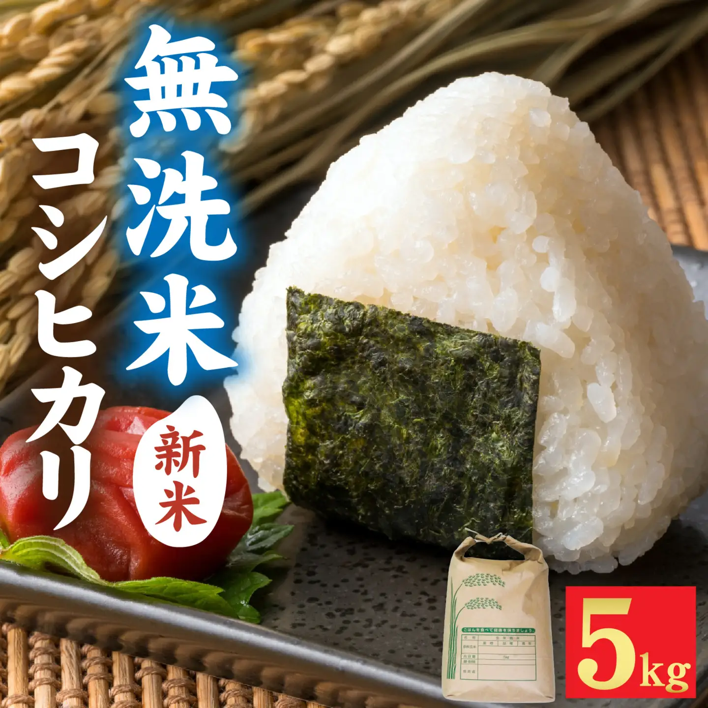 【先行予約】【みやま米】令和8年産  福井市産コシヒカリ5kg/ 天然の山水だけで育てたお米【2026年10月下旬以降順次発送予定】[A-168009] / 無洗米 色彩選別 