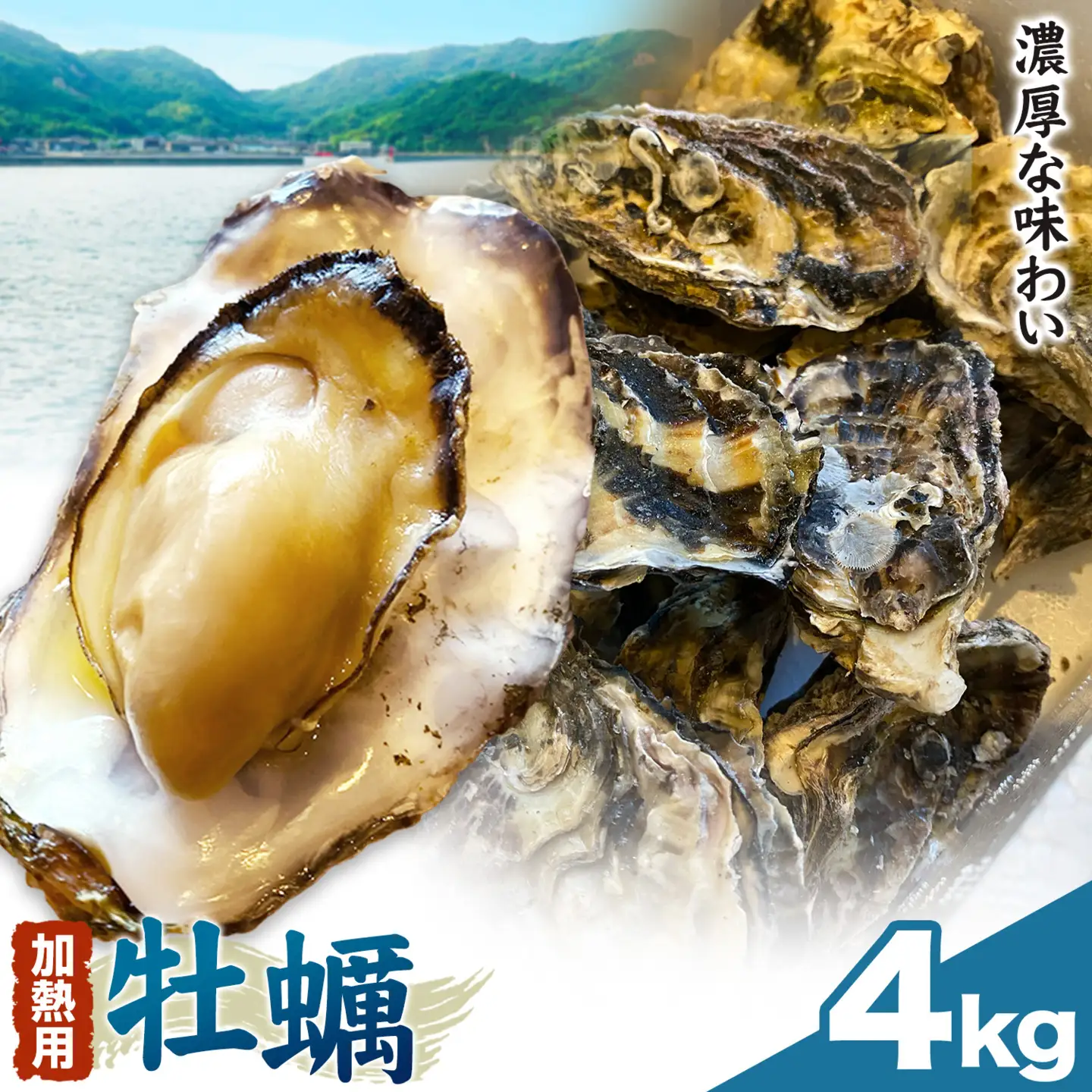 笠岡産 冷凍殻付き牡蠣 加熱用 4kg 60～80粒