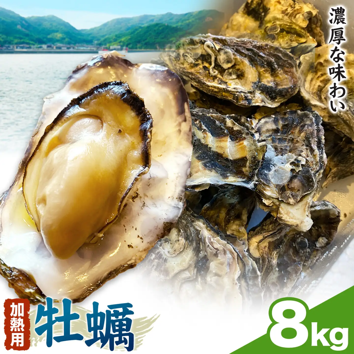 笠岡産 冷凍殻付き牡蠣 加熱用 8kg 120～160粒