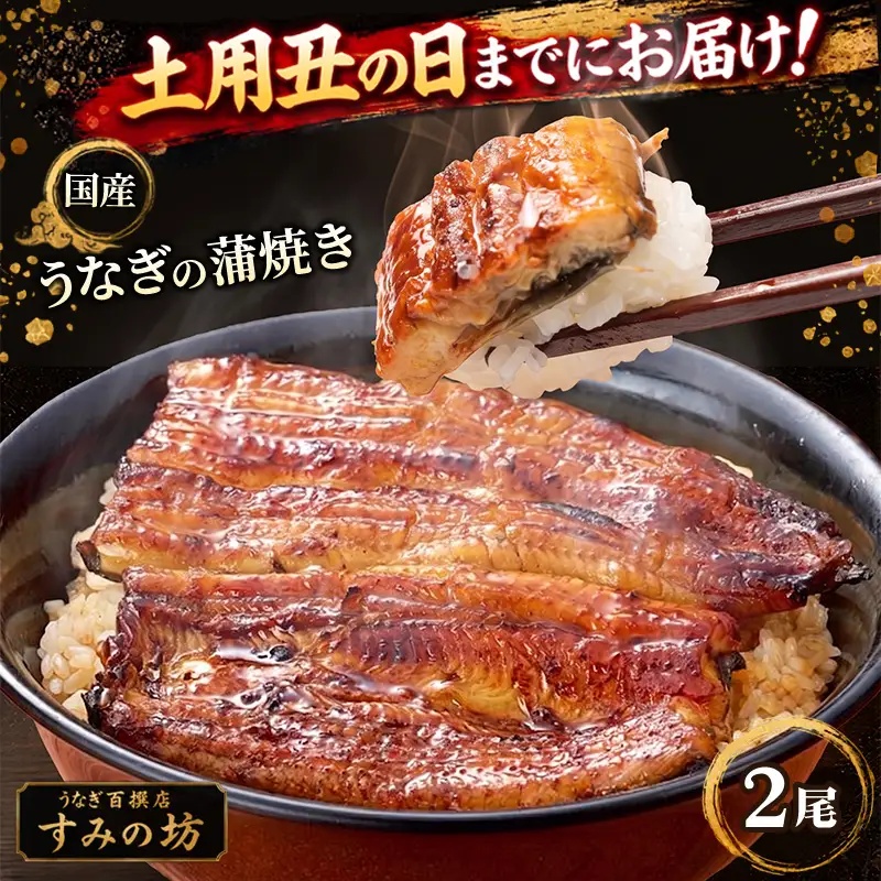 【土用丑の日までにお届け】 三島うなぎ蒲焼き 2尾