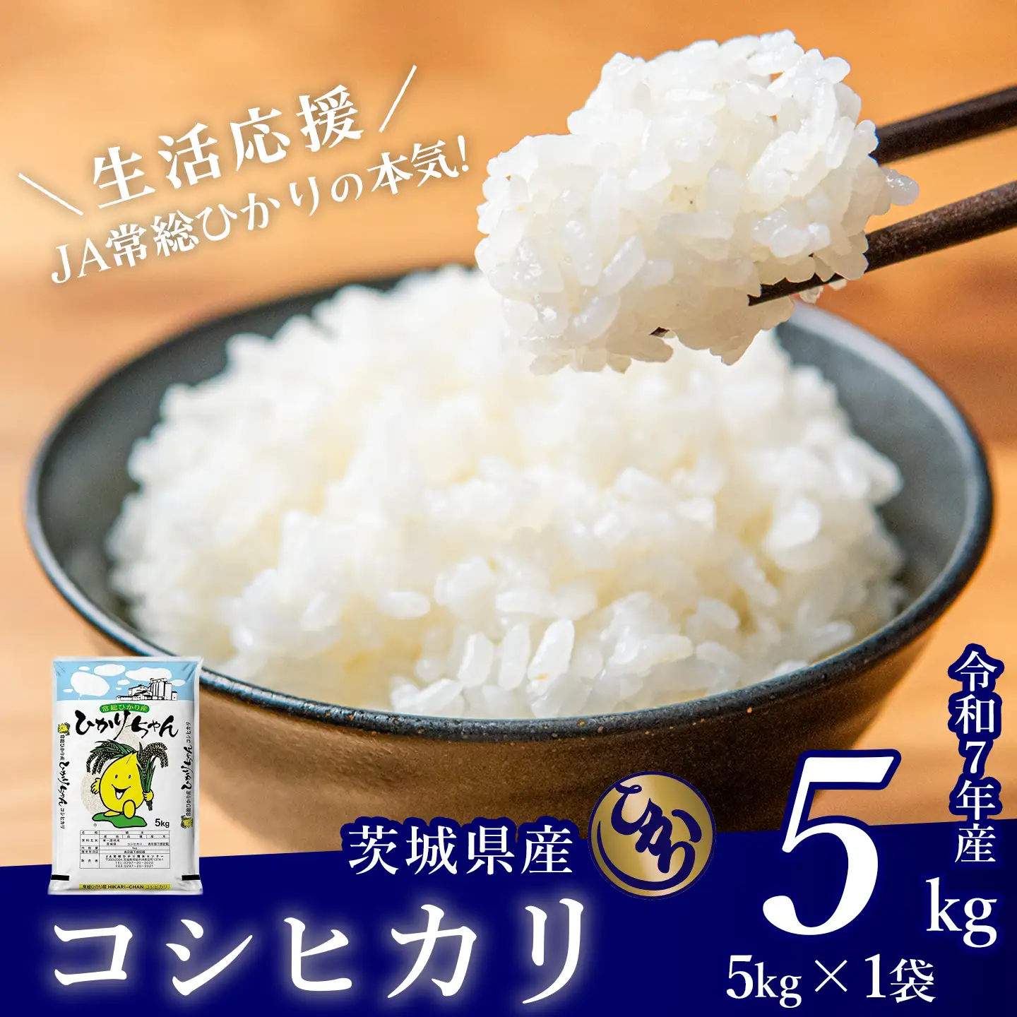 米 精米 R7年産 コシヒカリ 5kg 9月