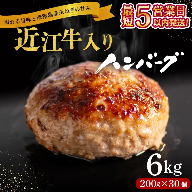 近江牛入りハンバーグ[RM213_fw](30個計6kg)【スピード配送!】