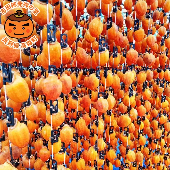 【令和8年発送】南信州高森町産 市田柿 200g×4パック