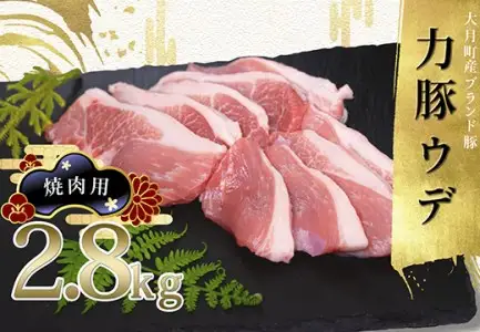 【国産】力豚 豚肉 ウデ肉 焼肉用2.8kg 小分け ブランド豚 焼き肉 BBQ ポーク 冷凍 真空