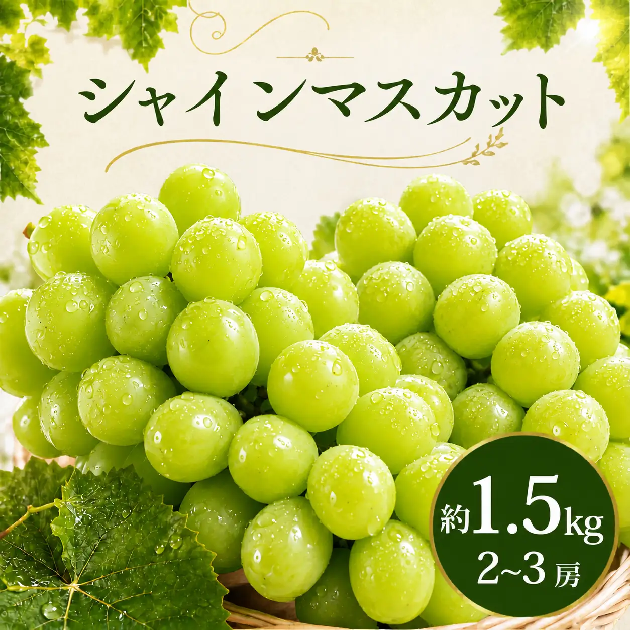 シャインマスカット 1.5kg シャインマスカット