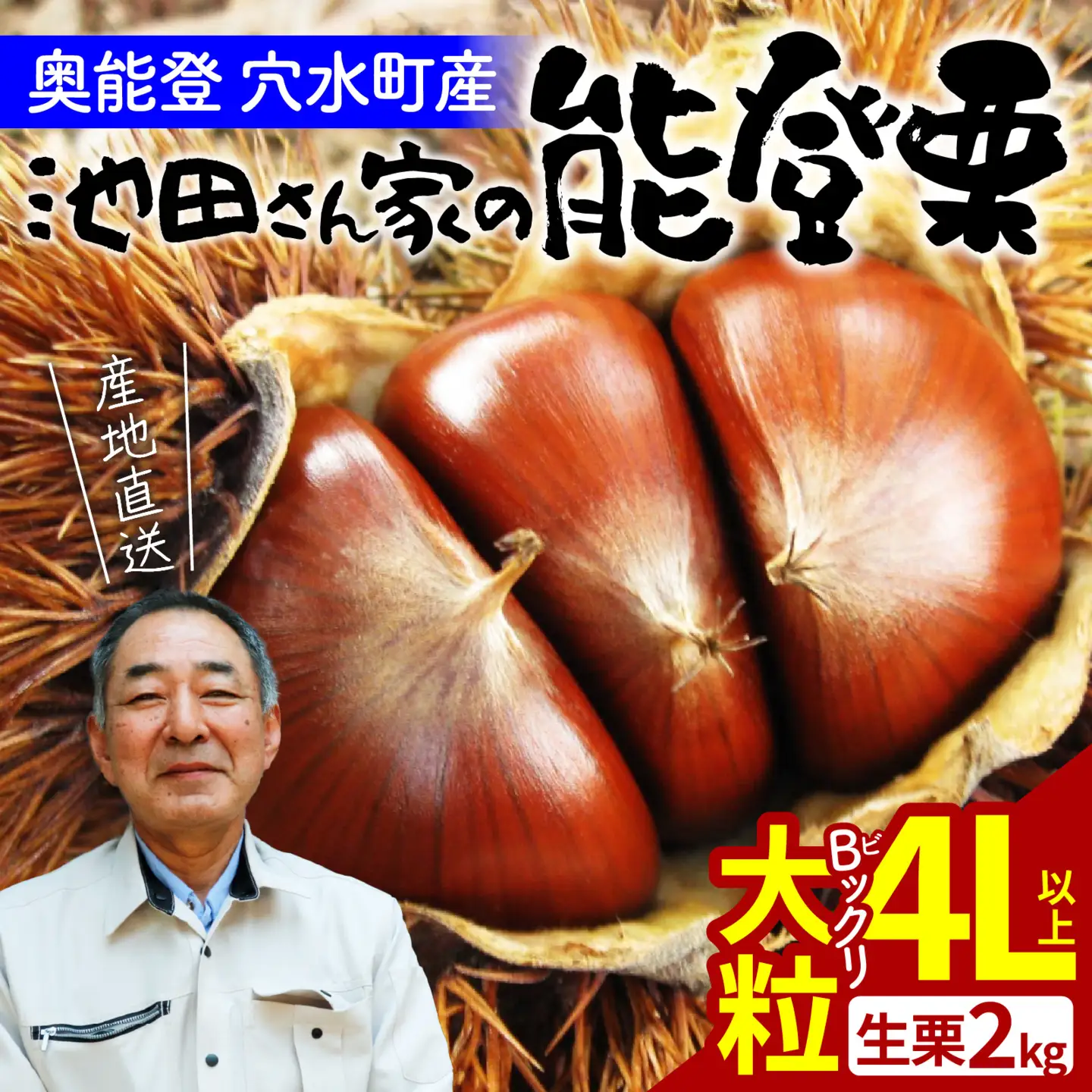【先行予約】奥能登 池田栗園の能登栗 約2kg Bックリ！大粒4Lサイズ以上 | 栗