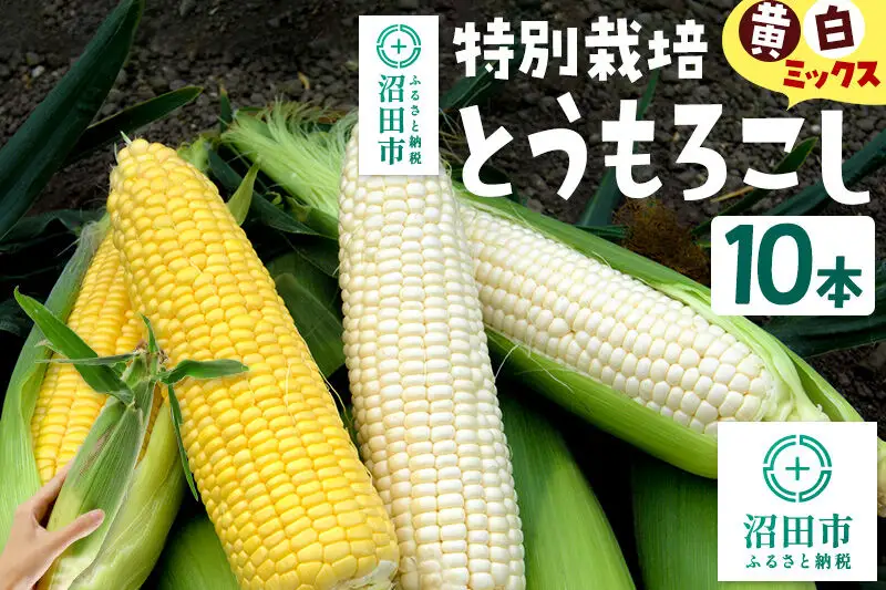 沼田市産 特別栽培のとうもろこし 10本 黄色・白色ミックス