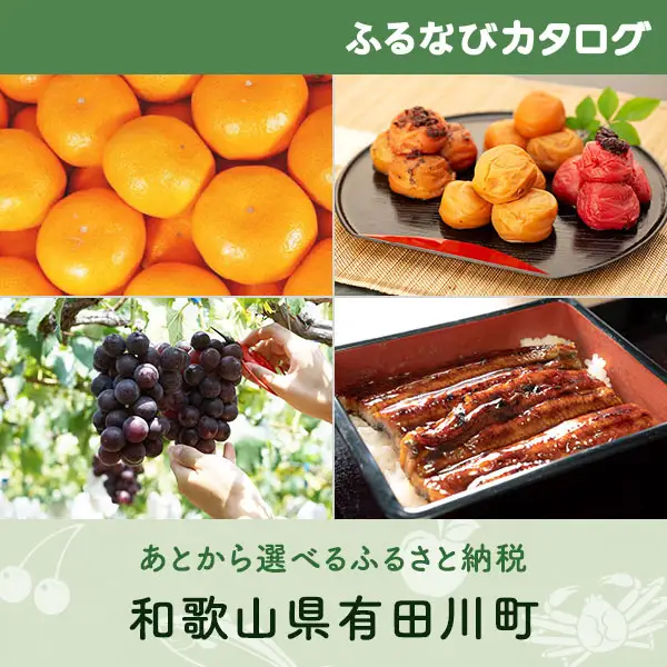【有効期限なし！後からゆっくり特産品を選べる】和歌山県有田川町カタログポイント