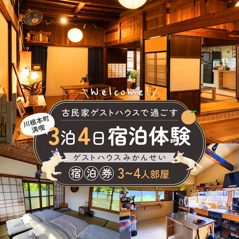 258-1 古民家ゲストハウスで過ごす川根本町満喫３泊４日宿泊体験｜ゲストハウスみかんせい宿泊券（3-4人部屋）