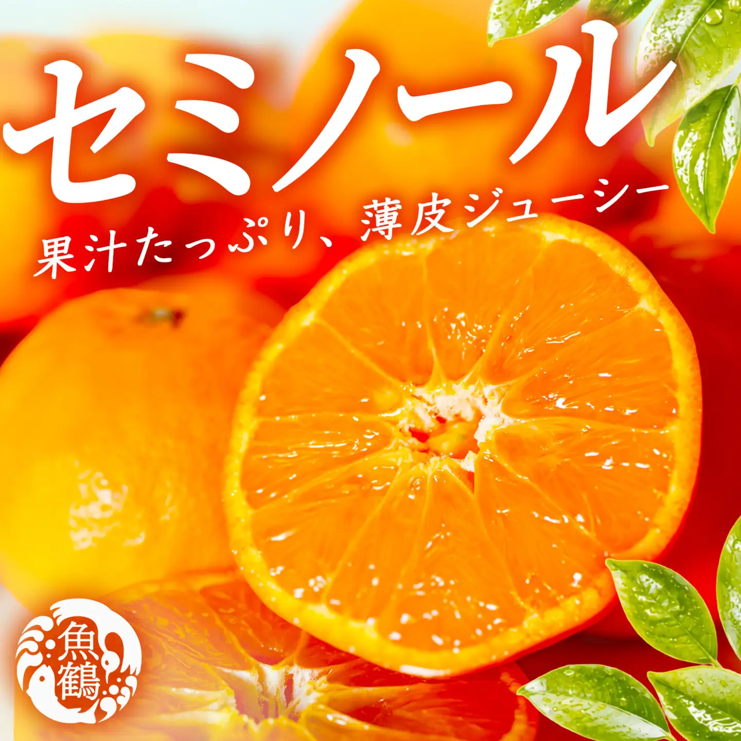 ［先行予約］ジューシー柑橘 セミノールオレンジ 5kg［UT149］