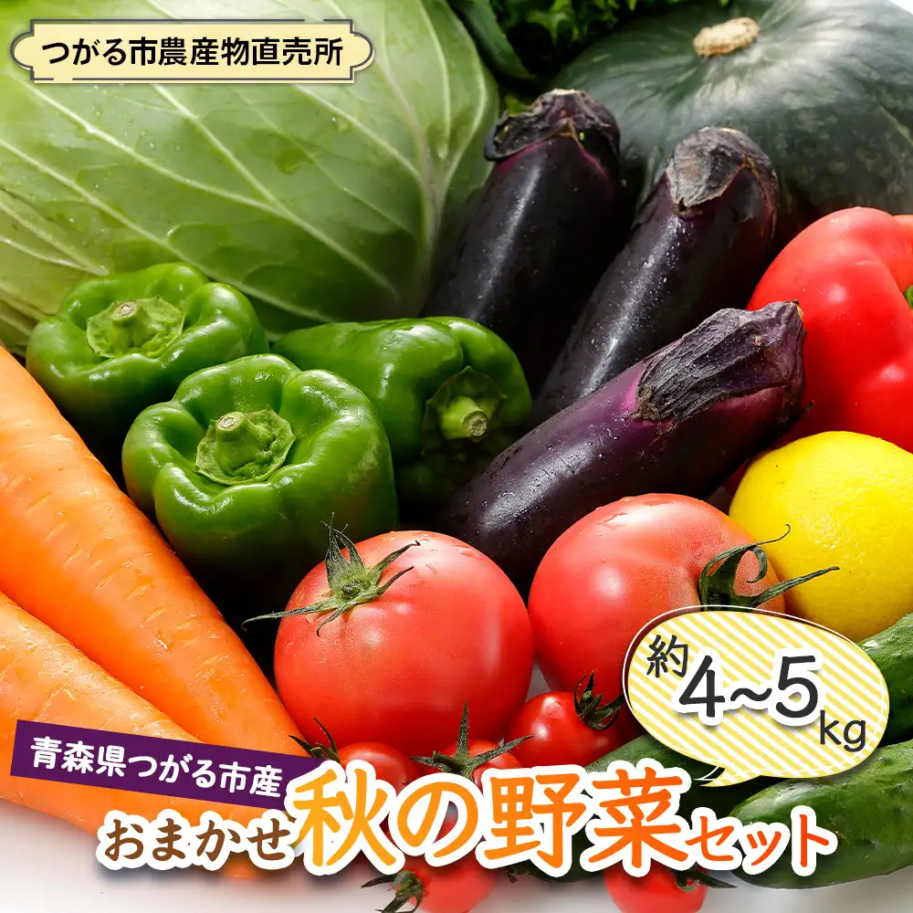 つがる市産 おまかせ秋の野菜セット 約4kgから5kg [1007]