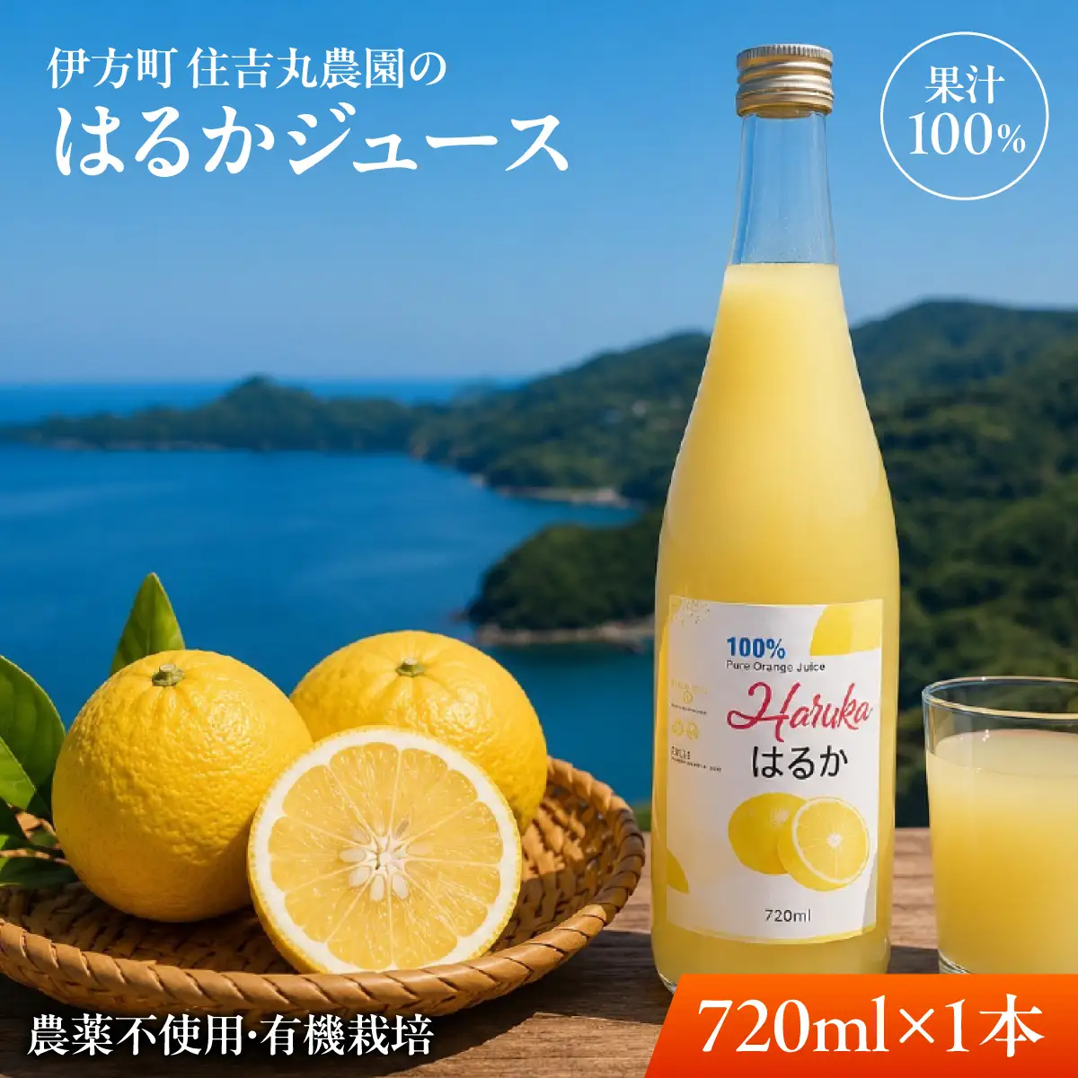 はるかジュース 720ml×1本 IKTBN010 