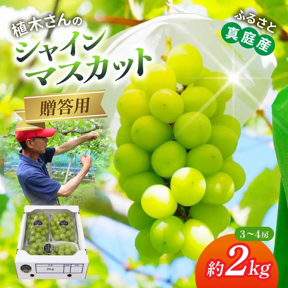 贈答用 岡山県産 シャインマスカット 約2kg 【beac001-01】