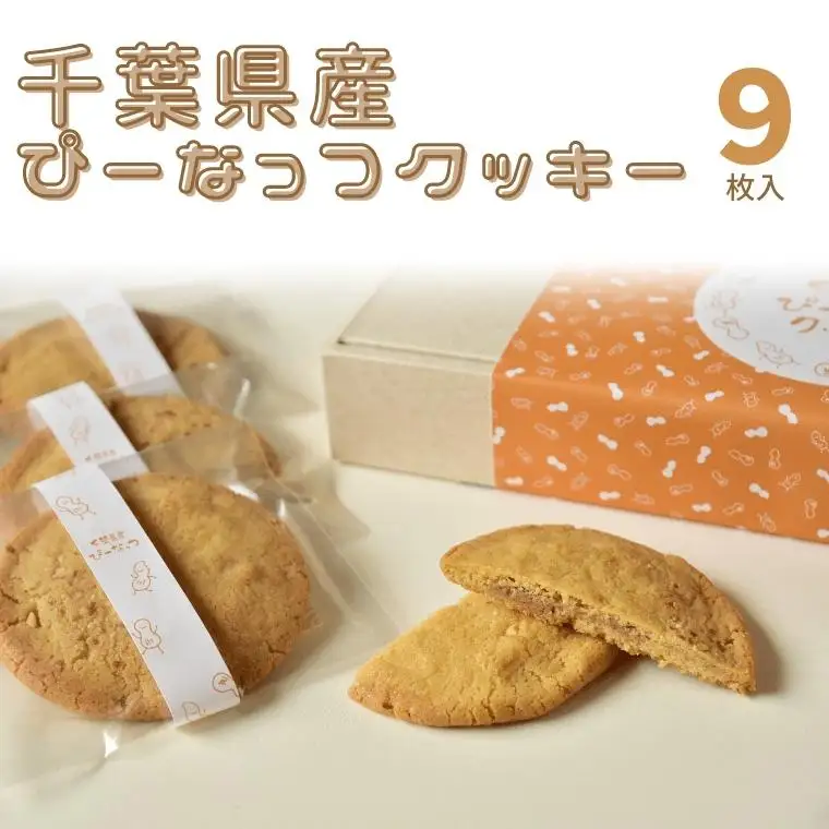 FR001【やつやつ】千葉県産ぴーなっつクッキー 9枚入