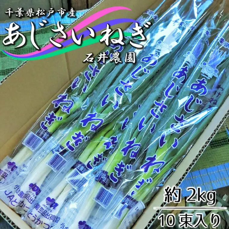 ES001 石井さん家のあじさいねぎ 約2kg