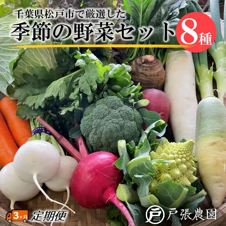 【毎月定期便3回】戸張農園の厳選おまかせ野菜セット