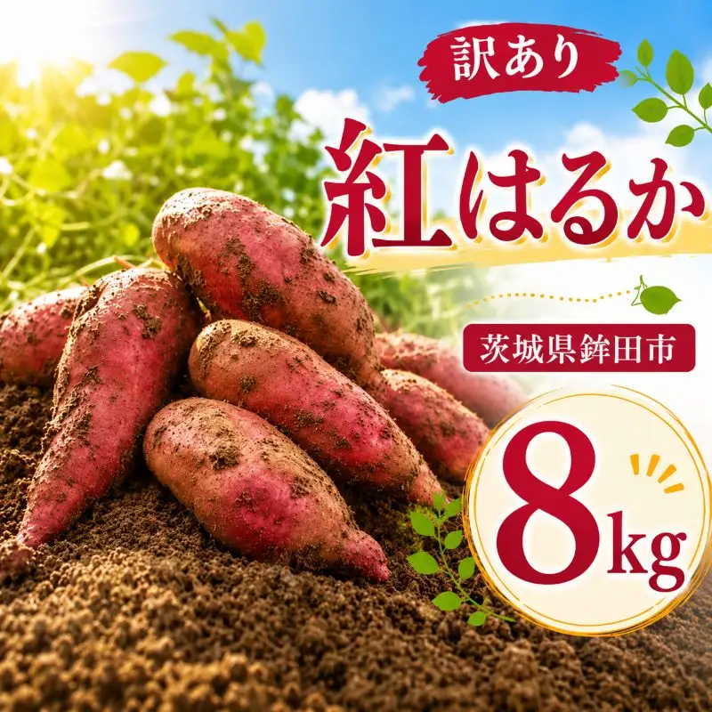 さつまいも 生芋 紅はるか 8kg 訳あり サツマイモ 【9月下旬～11月下旬発送】