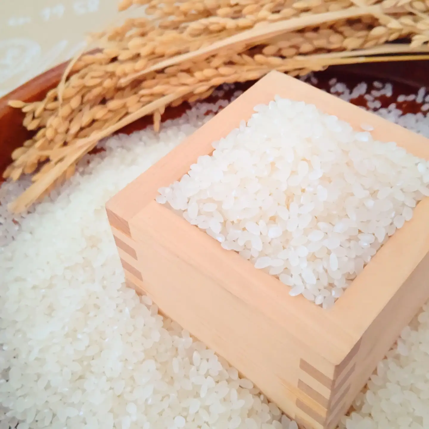 令和7年産 《マイスターセレクト》 さがびより【白米】 5kg 【特A評価】 086-B1025