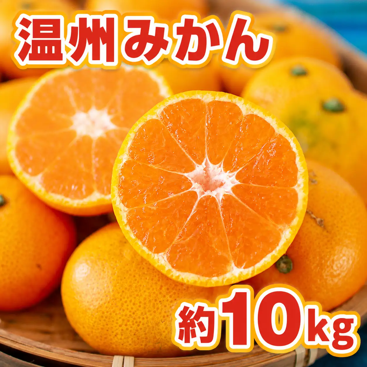 温州みかん 約10kg 114-B1009