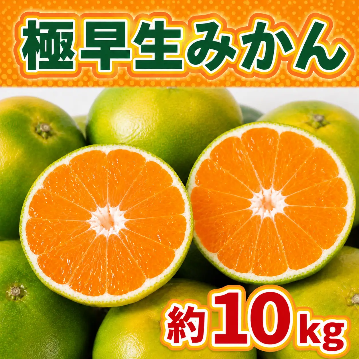 極早生みかん 約10kg 114-B1005