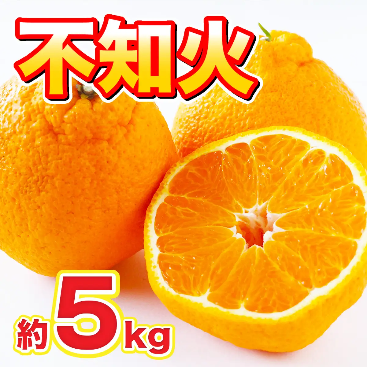 佐賀県産 不知火 約5kg 114-B1012