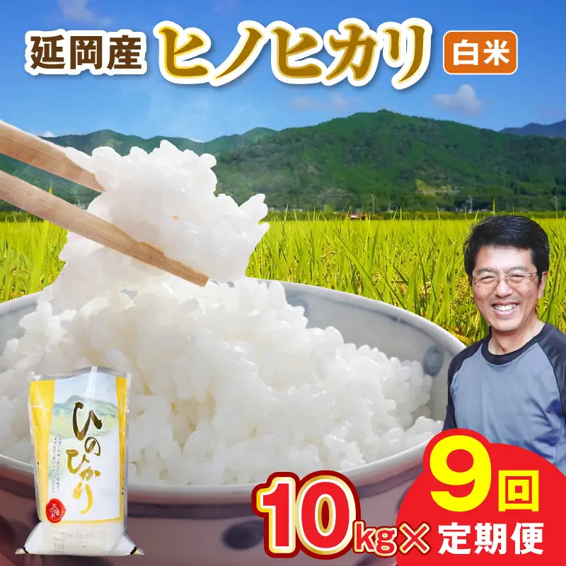 延岡産ヒノヒカリ（白米）10kg 9ヶ月定期便 N0218-YI032