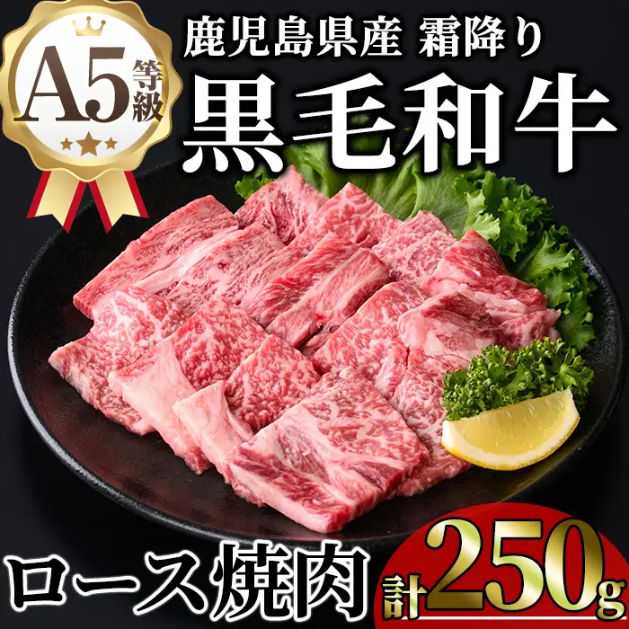 鹿児島県産 A5等級 黒毛和牛 霜降り ロース 焼肉 (計250g・250g×1P) 【KNOT】 A1103