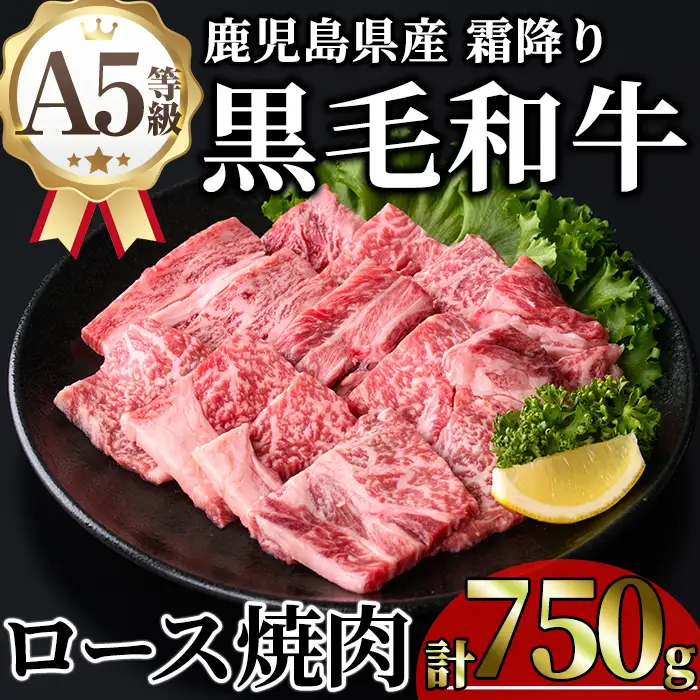 鹿児島県産 A5等級 黒毛和牛 霜降り ロース 焼肉 (計750g・250g×3P) 【KNOT】B218