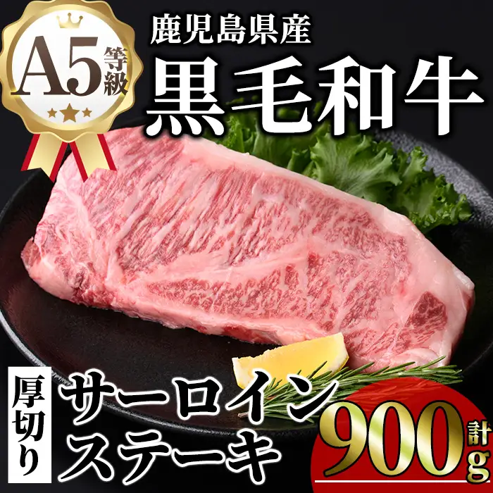 鹿児島県産 A5等級 黒毛和牛 贅沢 厚切り とろける サーロイン ステーキ (計900g・300g×3枚) 【KNOT】D54