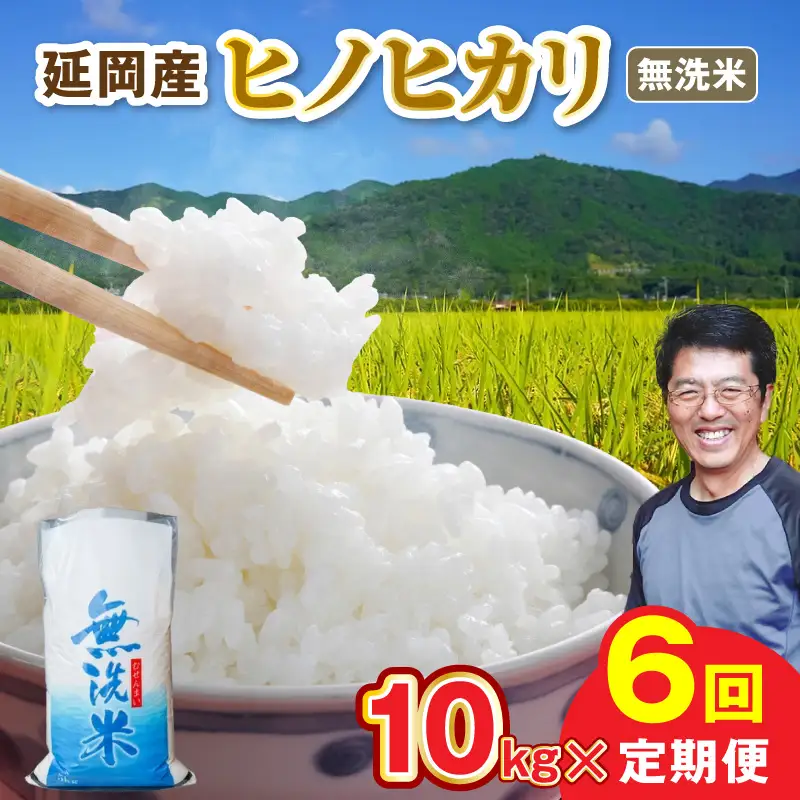 延岡産ヒノヒカリ（無洗米）10kg 6ヶ月定期便 N0218-YH071