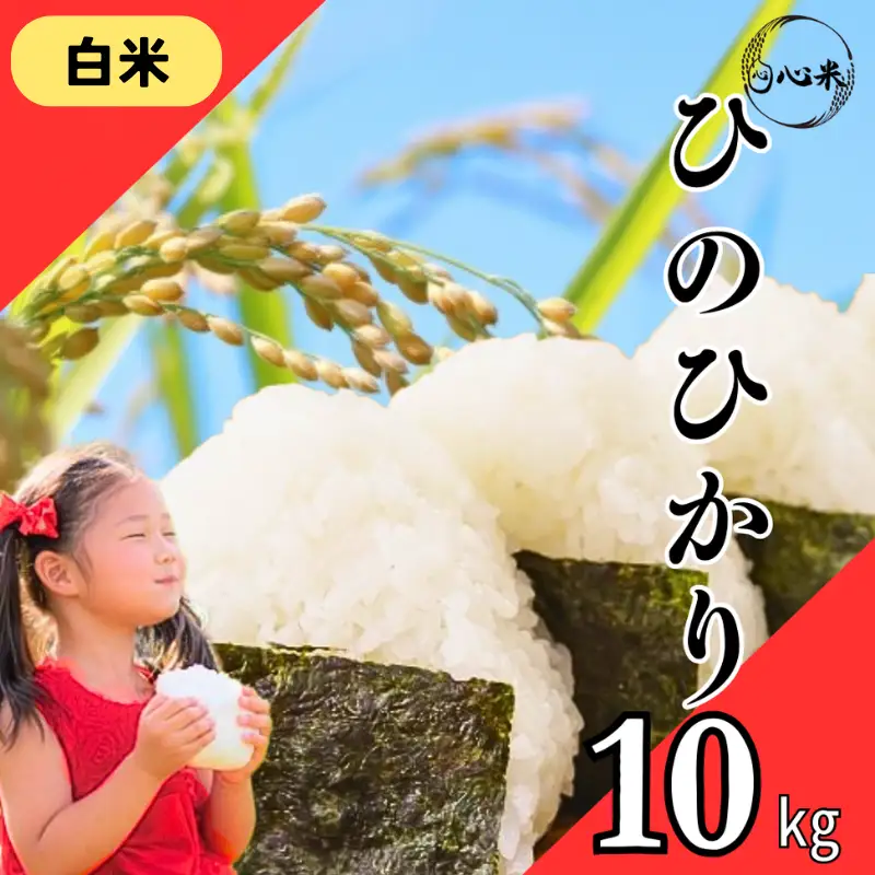 令和8年度産 ヒノヒカリ 白米 10kg