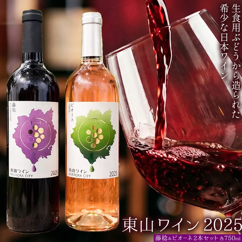 東山ワイン2025 750ml 藤稔 ピオーネ 2本セット 東山農園