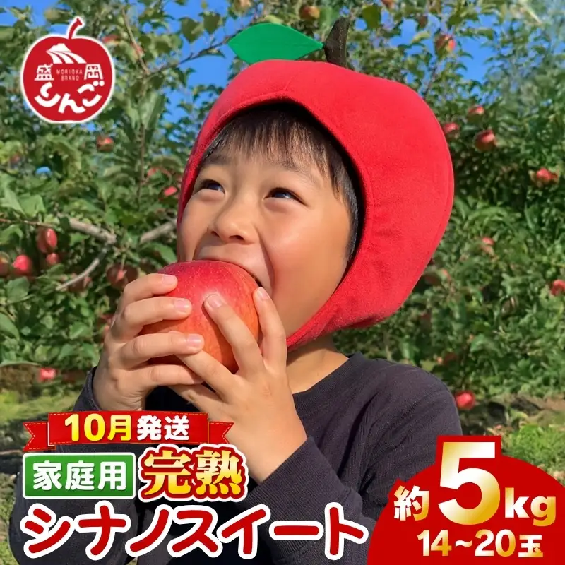 期間限定 訳あり シナノスイート 5kg(14~20玉)＜10月発送＞ りんご シナノスイート 田村ふぁーむtamura006
