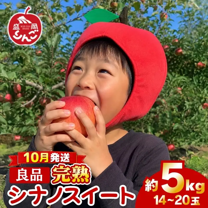 期間限定 贈答用 シナノスイート 5kg(14~20玉)＜10月発送＞ りんご シナノスイート 田村ふぁーむtamura012