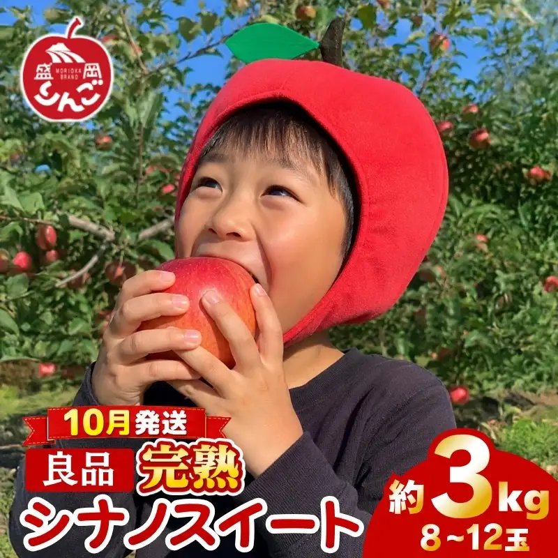 期間限定 贈答用 シナノスイート 3kg(8~12玉)＜10月発送＞ りんご シナノスイート 田村ふぁーむtamura011