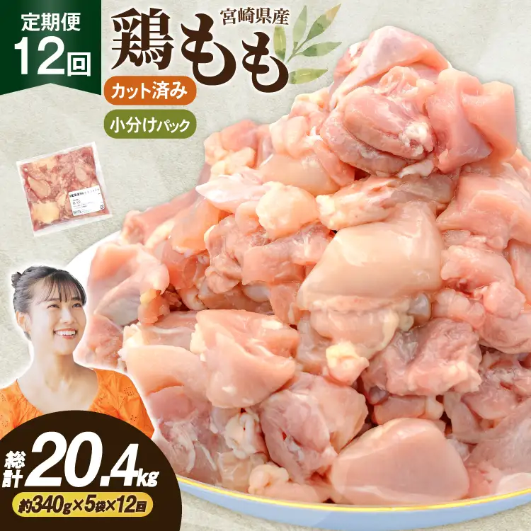 鶏肉 12回 定期便 もも 切身 340g 5袋 1.7kg 計20.4kg
