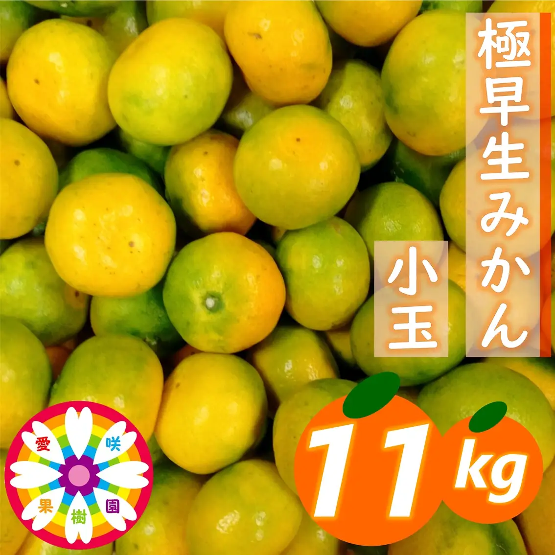 【先行受付】「 極早生 みかん 」 小玉 約11kg《 愛咲果樹園 》【71-54】YWTS042