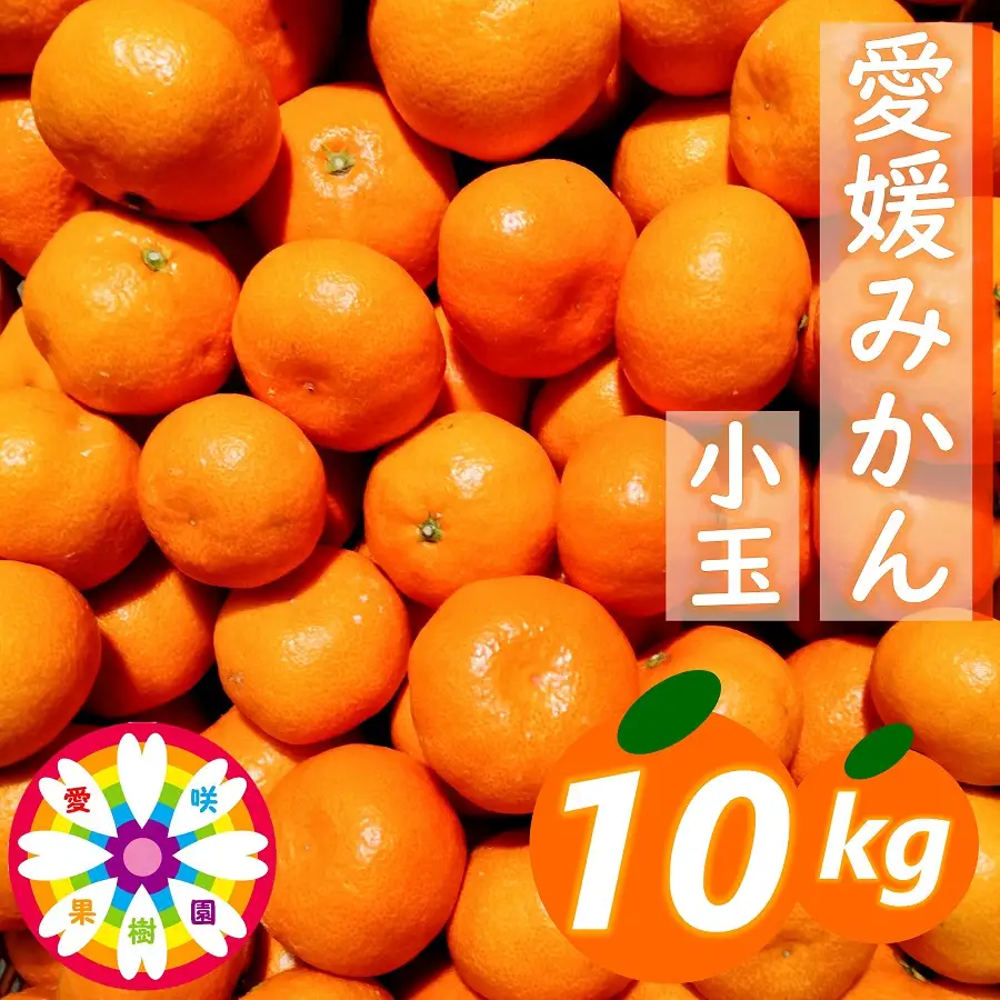 【先行受付】「 愛媛 みかん 」 小玉 約10kg《 愛咲果樹園 》【71-69】YWTS044