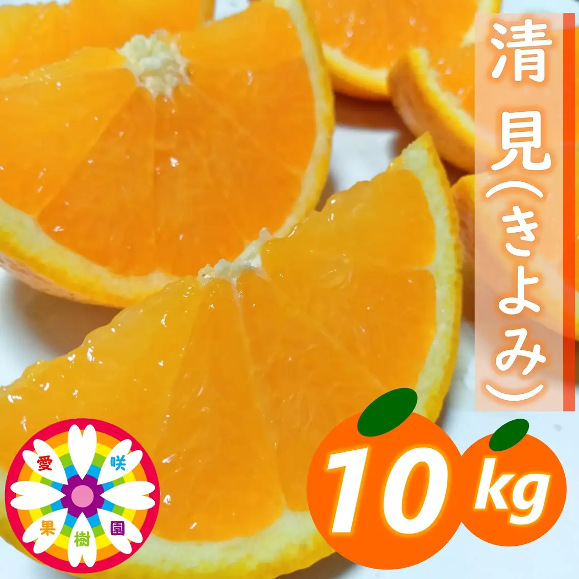【先行受付】愛咲果樹園「清見」約10kg【71-57】YWTS061