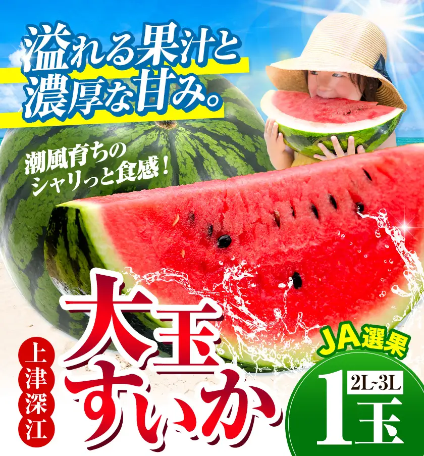 【先行予約】すいか 大玉 1玉 熊本 スイカ