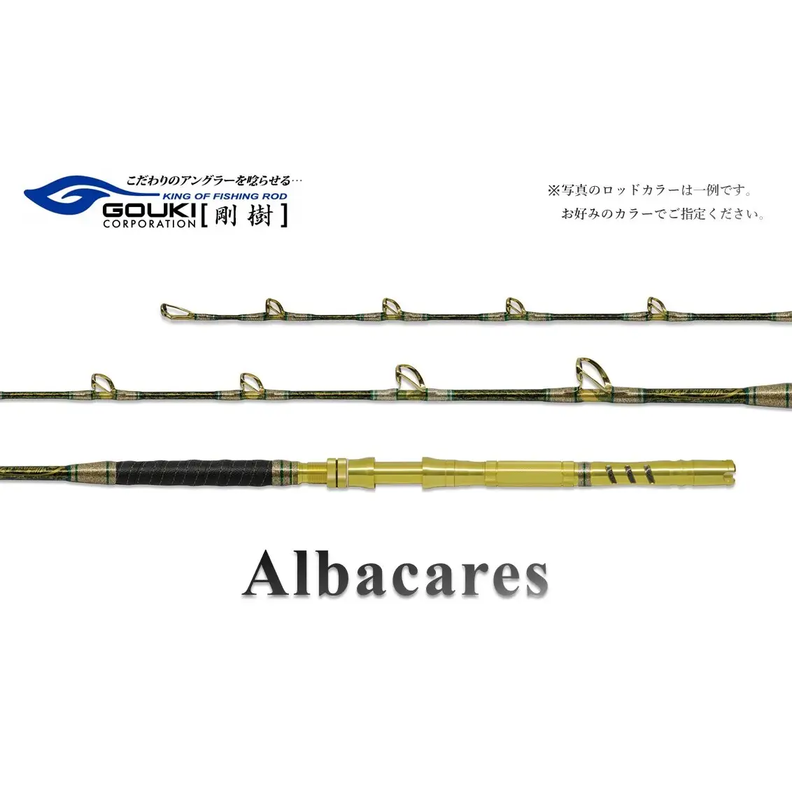 釣竿 剛樹 アルバカーレス 海釣り 釣竿【155cm・170cm・175cm】 ALB T1 170