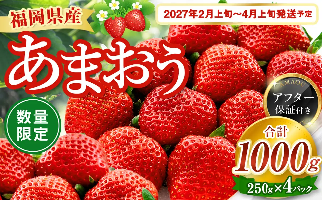 数量限定 福岡県産 あまおう 計 1000g 250g×4パック【2027年2月上旬～4月上旬発送予定】