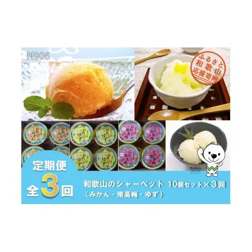 N906 【全3回定期便】和歌山のシャーベット10個セット×全３回（みかん・南高梅・ゆず）有限会社しょう