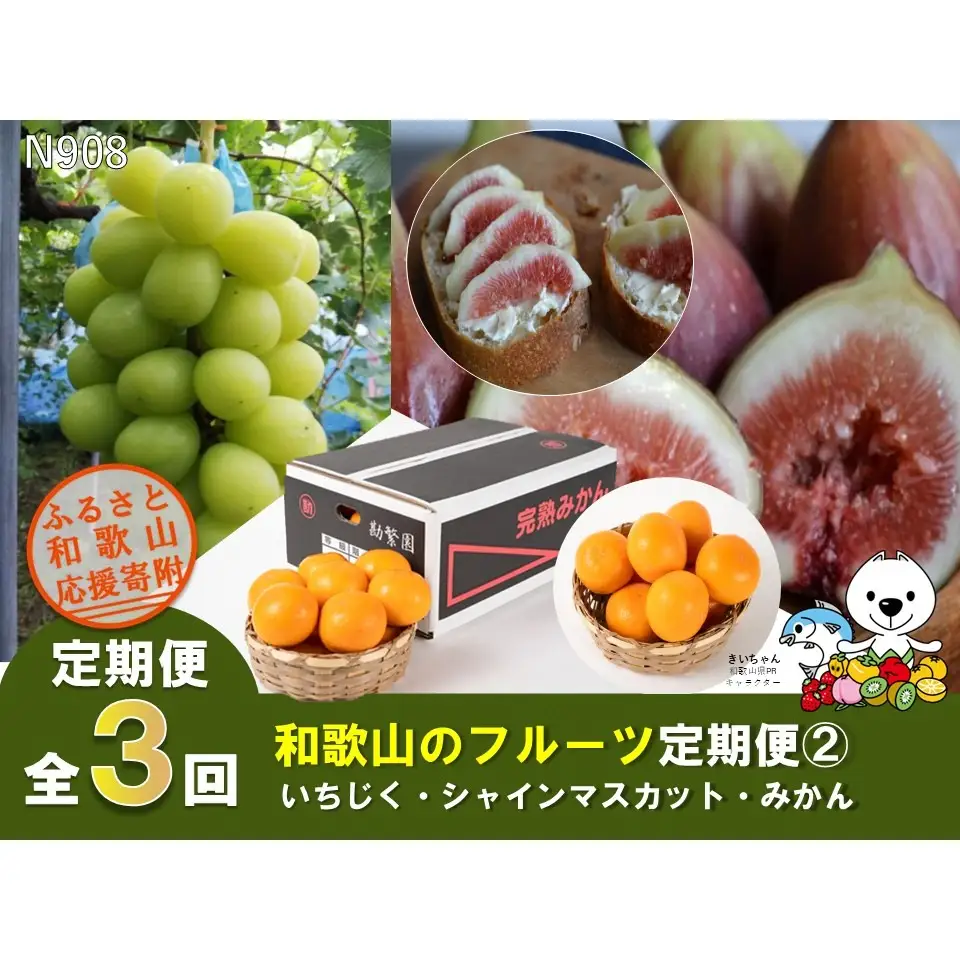 N908 【全3回定期便】フルーツ定期便②（いちじく・シャインマスカット・みかん）